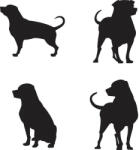  Rottweiler matrica szett