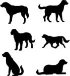  Bernáthegyi matrica szett