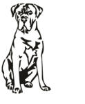  Cane corso matrica 4