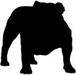  Angol bulldog matrica 28