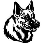  Németjuhász matrica 12