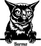  Burma macska matrica