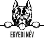  Amstaff egyedi névvel