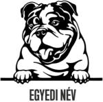  Egyedi Angol bulldog matrica