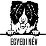  Egyedi neves Border collie matrica