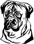  Bullmasztiff matrica 1