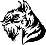  Schnauzer matrica 12