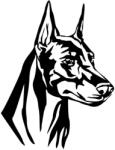  Dobermann matrica 20