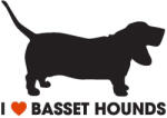  Basset hound matrica 6