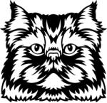  Díszes macska matrica 5