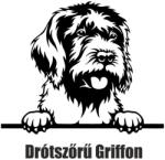  Drótszőrű griffon matrica