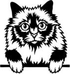  Díszes macska matrica 11