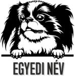  Egyedi neves Japán csin matrica