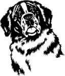  Bernáthegyi matrica 1