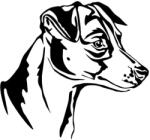  Jack russel matrica 10