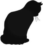  Szomorú cica matrica