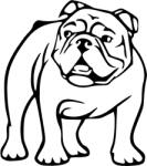  Bulldog matrica 5