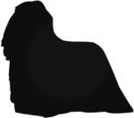  Komondor Kutya matrica