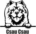  Csau Csau matrica 1