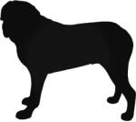 Mastiff Kutya matrica