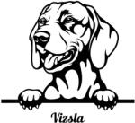  Vizsla matrica 16