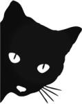  Figyelő Macska matrica