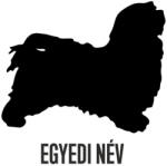  Egyedi neves Bichon Havanese matrica