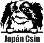  Japán csin matrica 8