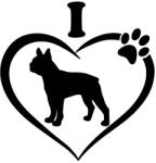  Boston terrier matrica 10