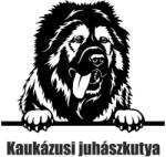  Kaukázusi juhászkutya matrica 3