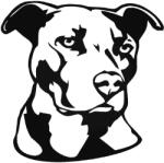  Szép Pitbull "1" matrica