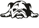  Bulldog matrica 11