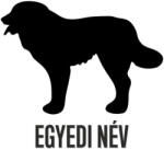  Egyedi neves Kaukázusi matrica