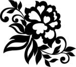  Orchidea virág matrica