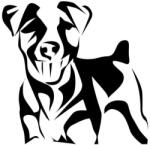  Jack russel matrica 9