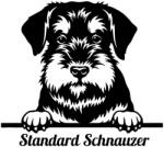  Standard Schnauzer matrica