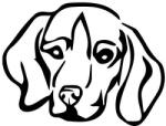  Beagle matrica 10
