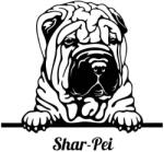  Shar pei matrica 16