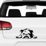  Bulldog autómatrica