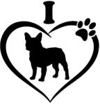  Francia bulldog matrica 12