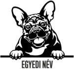  Egyedi neves Francia bulldog matrica