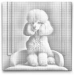  PontPöttyöző - Rózsaszín puli Méret: 50x50cm, Keretezés: Keret nélkül (csak a vászon), Szín: Kék