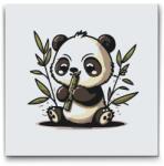  Festés számok szerint - Pandamaci Méret: 50x50cm, Keretezés: Kartonlemezen