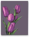  Festés számok szerint - Lila tulipánok Méret: 30x40cm, Keretezés: Keret nélkül (csak a vászon)