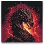  Festés számok szerint - Tűz sárkány Méret: 50x50cm, Keretezés: Műanyagtáblával