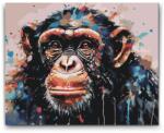  Festés számok szerint - Majom festett háttérrel Méret: 30x40cm, Keretezés: Keret nélkül (csak a vászon)