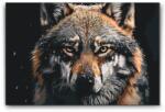  Festés számok szerint - A farkas tekintete Méret: 40x60cm, Keretezés: Kartonlemezen