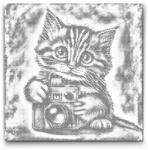  PontPöttyöző - Kiscica fényképezőgéppel 2 Méret: 50x50cm, Keretezés: Keret nélkül (csak a vászon), Szín: Zöld