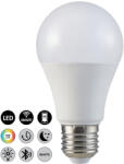 Rábalux Okos 11W 2700K 1050Lumen Normál izzó forma E27 LED fényforrás (79001)