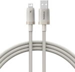 Baseus Titanium P10378102G21-02